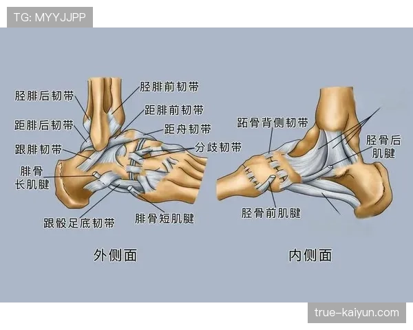 快船莱昂纳德左脚踝扭伤 出战马刺比赛状态成疑